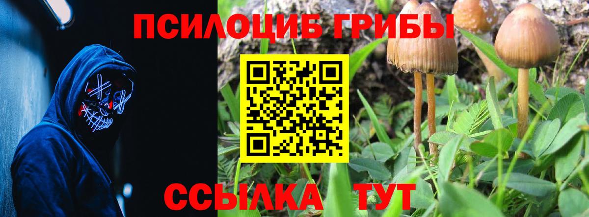 Галлюциногенные грибы MAGIC MUSHROOMS Симферополь